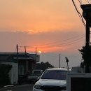 제주도 동쪽 종달리카페 핸드드립커피 디저트맛집 애견동반 디사이드온