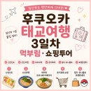 후쿠오카 태교여행 3일차🤍｜하카타 맛집·돈키호테 쇼핑·신신라멘 먹부림