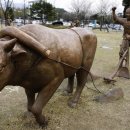 관문체육공원 이미지