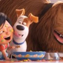 마이펫스토리 이미지