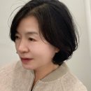 보브헤어샵 - 창원시 마산회원구 | 보브헤어샵