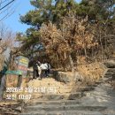 과천청사역 11번 출구 뒤 | 2026.2.21(토) [등산] 관악산 - 길 잃고 죽을뻔 했던 나의 첫 관악산 후기