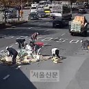 과일상자