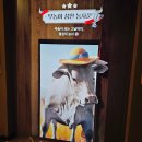 경상북도 청도교육지원청 | 청도 아이와 가볼만한곳 소싸움 테마파크 미디어체험관 후기