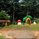 38선 숨길 디모테오길 이미지