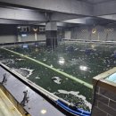 J&D 실내바다낚시터 이미지