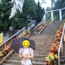 구룡모텔 네이버블로그
