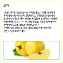 ★ 폐렴에 좋은 음식 및 과일 이미지