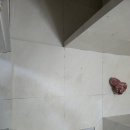 신대 6차 네이버블로그