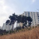 은곡유치원 | [임장] 세곡푸르지오 임장후기