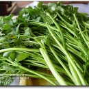 한영농장 이미지