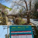 상천테마공원(주차장) 이미지