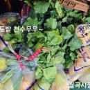 대성야채청과 이미지