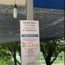 하늘숲글램핑 파크