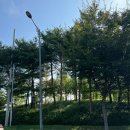 VIP 1급자동차정비마을 이미지