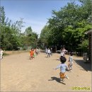 자연유치원 이미지