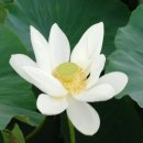 성전면사무소 이미지