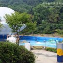 옥토끼주유소 네이버블로그