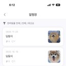 빛이나개 이미지