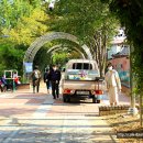 동구보건소 치매안심센터 이미지