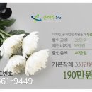금호장례서비스 - 함양군 황마로 164 | 금호장례서비스