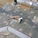 중화동-070 이미지