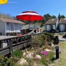 프렌즈 애견 이미지