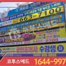 저단43 이미지