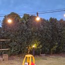 금호숯불가든 | 흑돼지 초벌구이 해주는 제주금호리조트맛집 송가네참숯가든