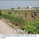 미곡농장 이미지