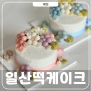 서정마을2단지(57313) | 일산 떡케이크 상견례 어버이날 구르미케이디저트 맛있음