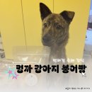 멍까 네이버블로그