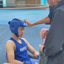 복싱바이러스 이미지