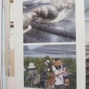 김수복농장 이미지