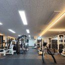 디에스짐 이미지