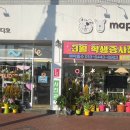 마펫다이어리