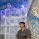 워터캐슬 불가마사우나 | 경기도 시흥 24시 찜질방 사우나 내돈내산 추천 :워터케슬24시불가마사우나(찜질방 실내 데이트 아이랑)