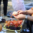 도레미캠핑장 이미지