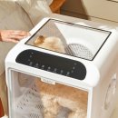 우리펫 | 라빌리 펫드라이룸, 우리 집 댕냥이 목욕 후기는?