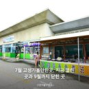 대진종합공사 | 7월 고성가볼만한곳, 지금 열린 곳과 9월까지 닫힌 곳