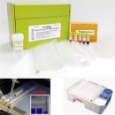 영동싸이언스 이미지