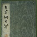 중국역사 : Ⅲ. 명과 중국 전통 문화의 부흥 ⇒ 제6장 명대의 문화 (약학과 기술)