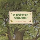 떡갈나무숲 이미지