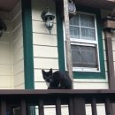 가을동화모텔 | [평창숙소] 가을동화펜션 위치/후기