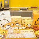 주식회사 호두랩스 이미지