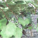 (주)경성건축 이미지