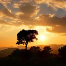 파라다이스건설(주) 이미지