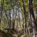 남도삼백리길(7코스) 이미지