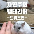 인테리어드워프