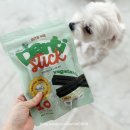 덴탈랜드 | [강아지 덴탈껌 추천] 달코미가 먹어본 바잇미 덴티스틱 내돈내산 후기